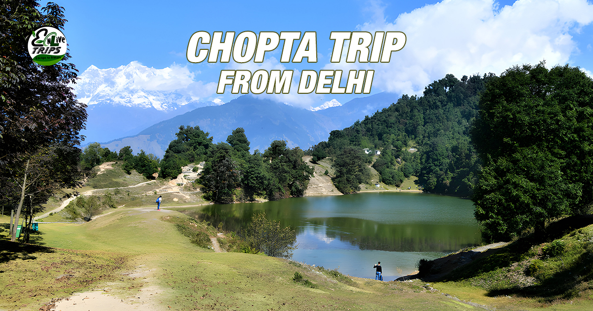 Tungnath-Chandrashila trek in Monsoon